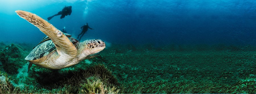 Marsa el Alam